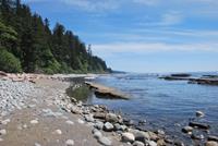 image of coastal scenery on west coast trail